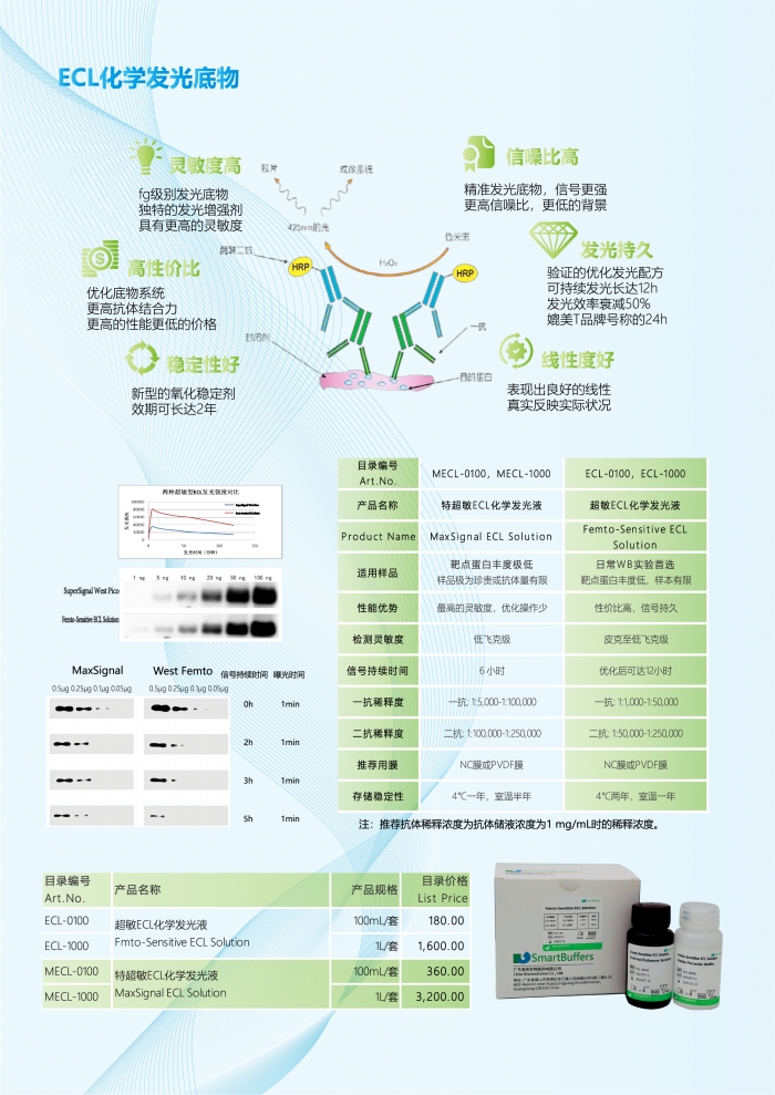 ECL-0100  超敏ECL发光液 100mL套装